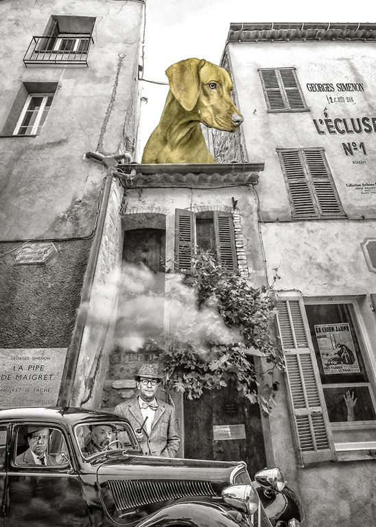 Le chien jaune