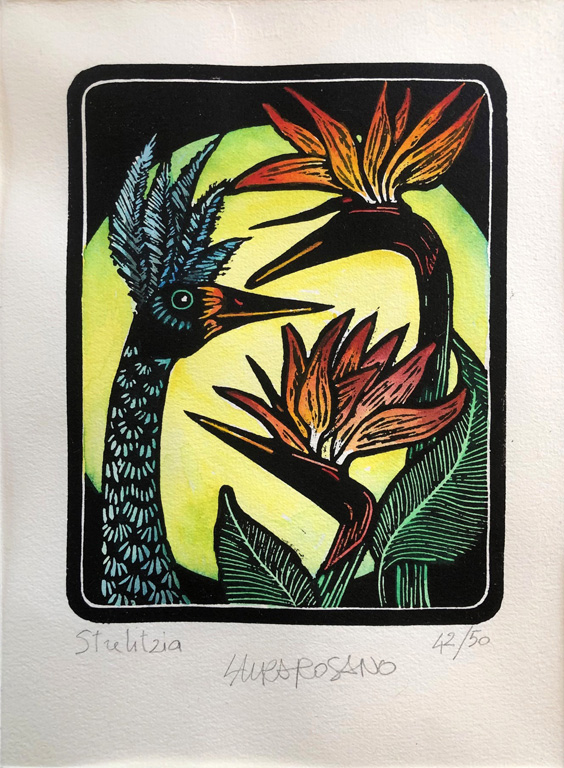 Strelitzia